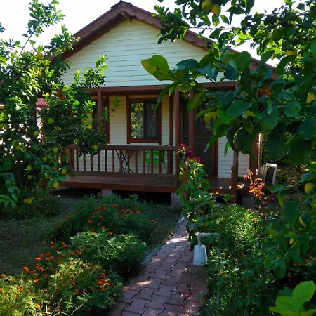 Elif's Lemon Park And Bungalows Πάρκο διακοπών Μούγκλα