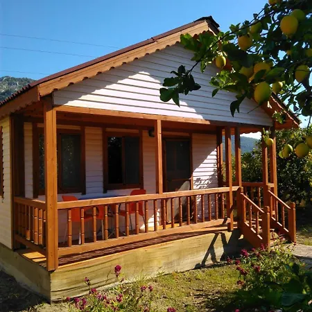 Village de vacances Elif's Lemon Park And Bungalows Muğla