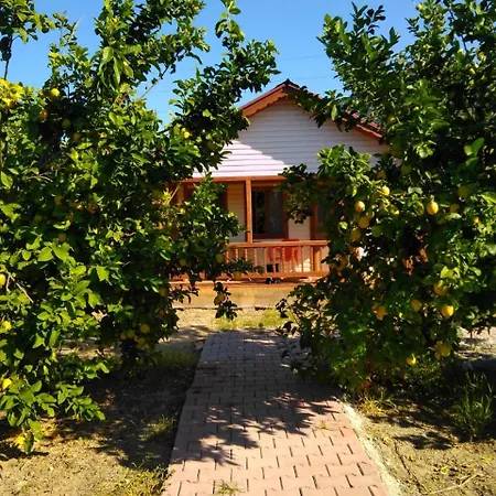 Village de vacances Elif's Lemon Park And Bungalows *