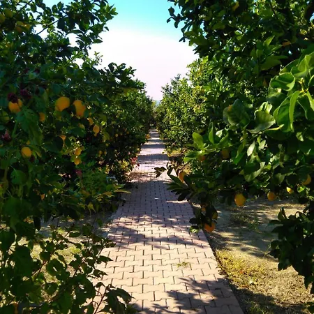 Elif's Lemon Park And Bungalows Village de vacances Muğla